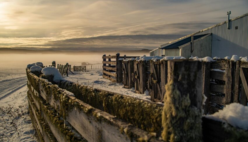 Braune Holzkisten unter grauem Himmel