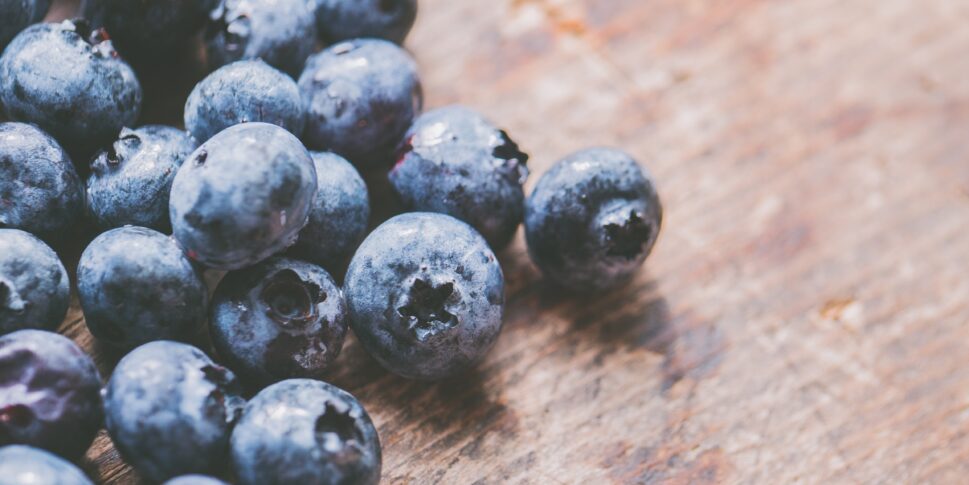 Blaubeeren für Blaubeerkuchen
