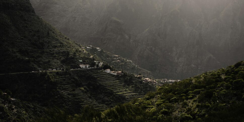 Grüne Bäume Berge Masca Teneriffa