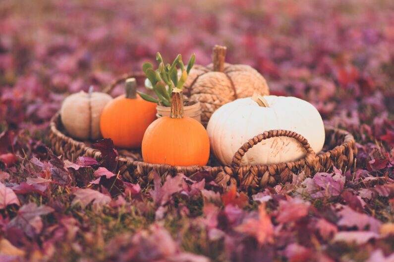 Kürbisse Herbstdeko Wohnzimmer herbstlich dekorieren