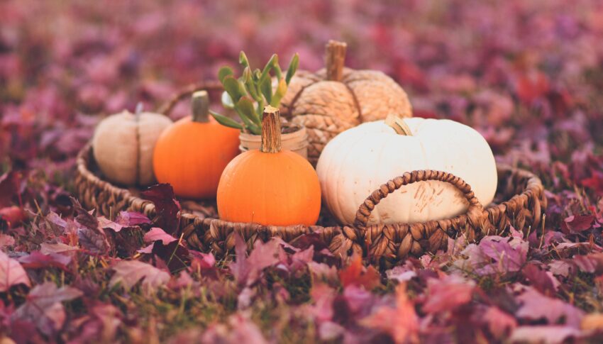 Wie kann man das Wohnzimmer herbstlich dekorieren?