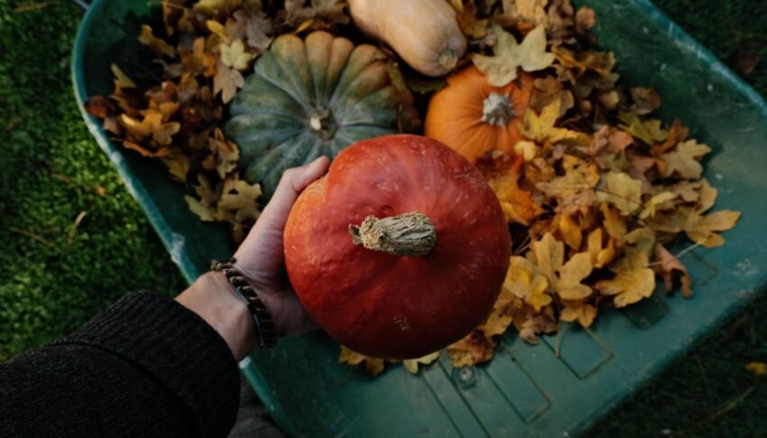 Gartenarbeiten im Oktober: Die wichtigsten Aufgaben für den Herbst