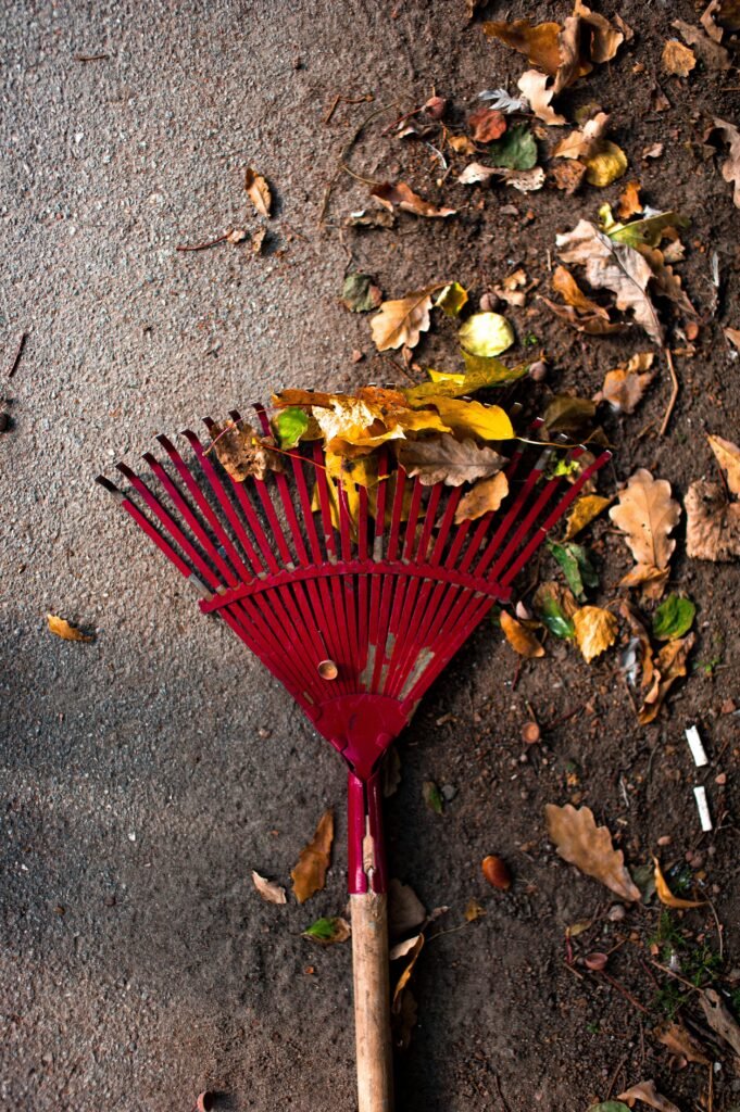 Nahaufnahme eines roten Rechens zwischen gefallenem Herbstlaub
