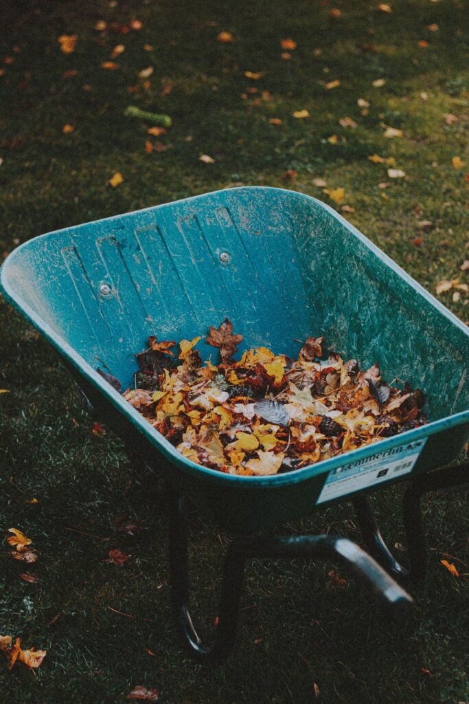 Schubkarre, gefüllt mit lebhaften Herbstblättern